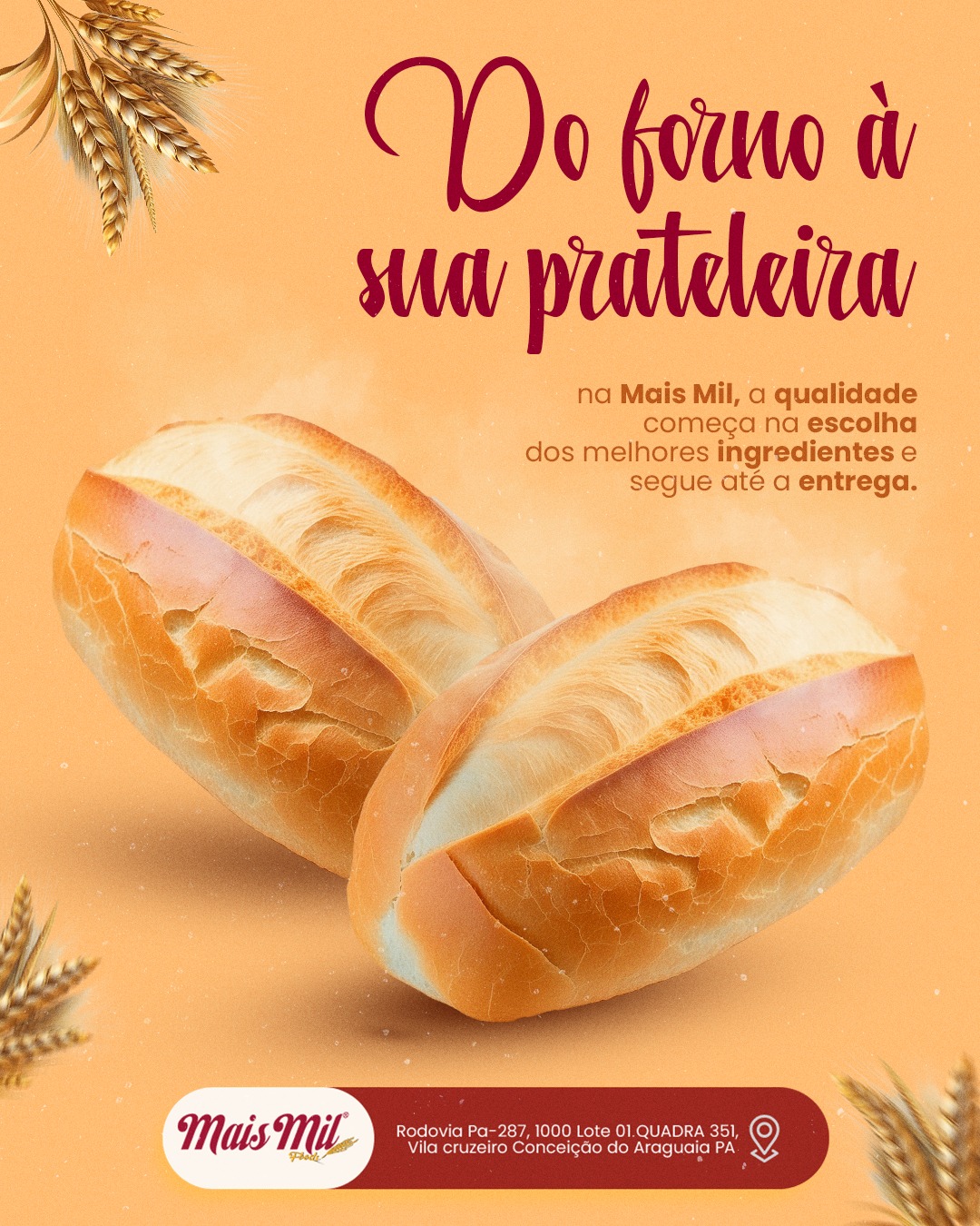 Do forno à sua prateleira