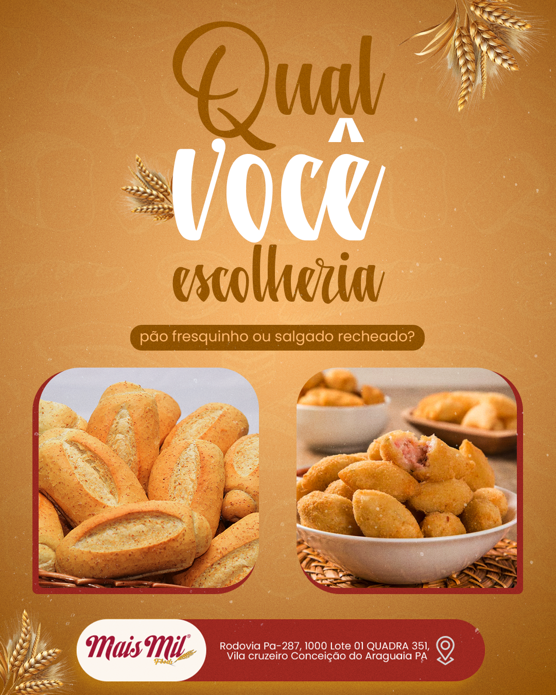 Qual você escolheria ?