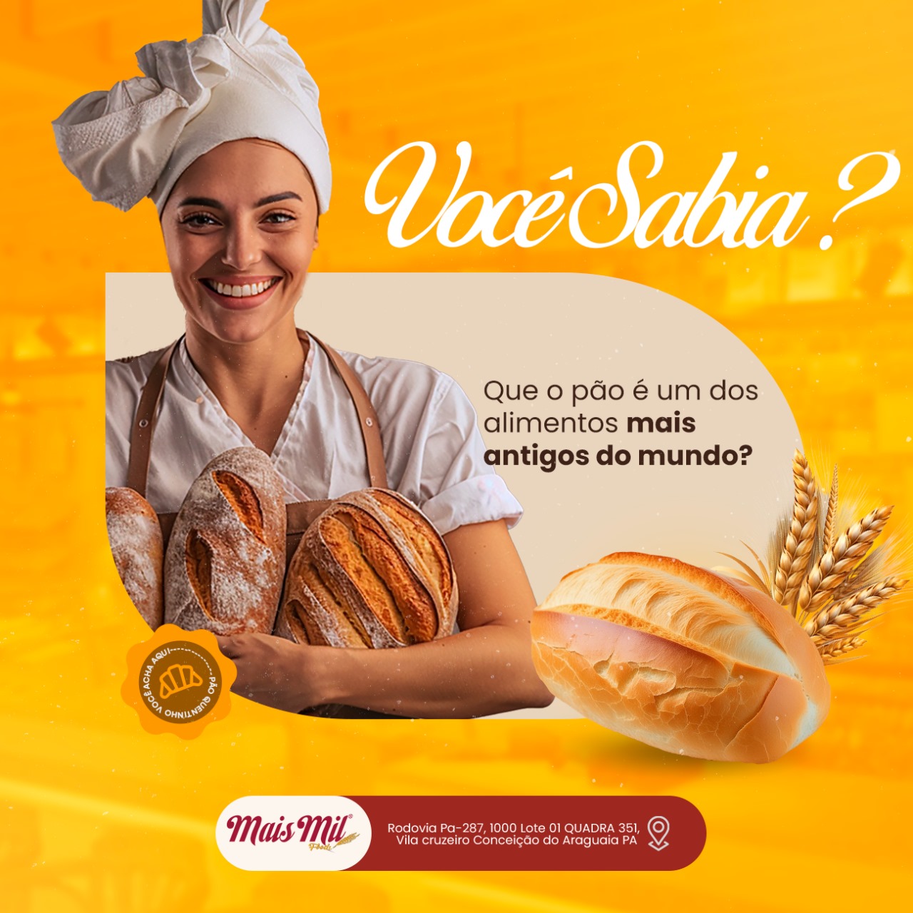 você sabia que o pão é um dos alimentos mais antigos do mundo